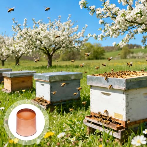 Luxshiny 2000pcs Queen Cell Rearing Mini Cups Beekeeping Grafting Kit Plastic Breeding Tools for Hive Management and Queen Rearing