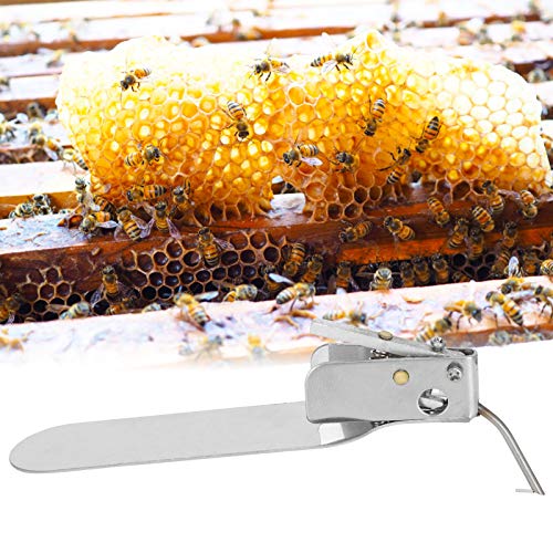 Beekeeping Grafting Tool,Single End Queen Bee Larva Grafting Needle Transferring Tool,Metal Bee Rearing Grafting Kit for Rearing Queen Bee