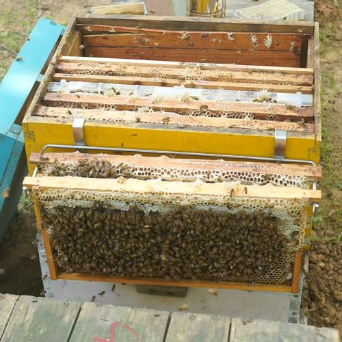 witbee 4Pcs Beehive Frame Holder, Stainless Steel Beehive Frame Perch Beekeeping Frame Grip Tool for Honey Harvesting and Inspection - size: 4pcs