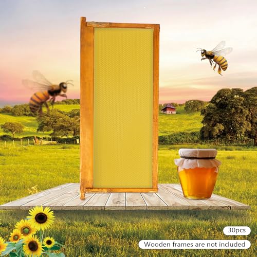 30 Pack Beeswax Hive Foundations 19.5x41.5cm, Natural Beekeeping Foundation Sheets with Deep Cells, High Purity Beeswax for Langstroth Hive Frames, Bee Supplies for Honey Production DIY Candle Making