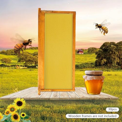 30 Pack Beeswax Hive Foundations 19.5x41.5cm, Natural Beekeeping Foundation Sheets with Deep Cells, High Purity Beeswax for Langstroth Hive Frames, Bee Supplies for Honey Production DIY Candle Making