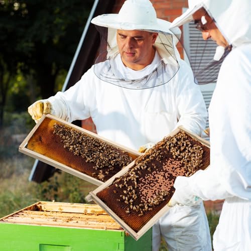 Yuntau 40 Pack Deep Beehive Frames and Foundations Beeswax Coated Food Grade Sheets Cedar Wood Unassembled Frames for Langstroth Deep Brood Boxes Easy to Assemble(Black,19 x 17.6 x 9.1 Inches) - color: Black, size: 19 x 17.6 x 9.1 Inches