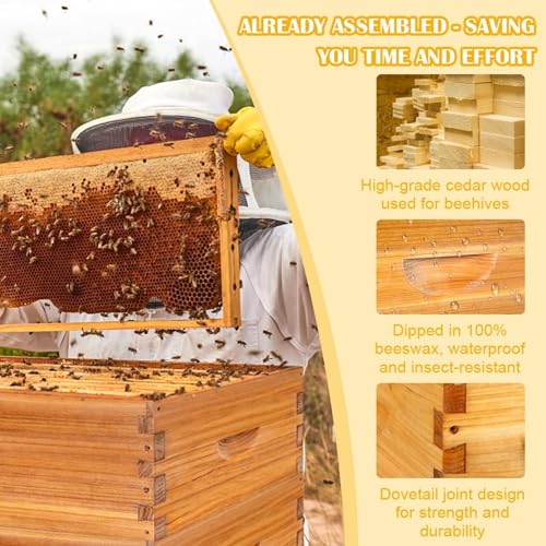 Frame Assembled Medium Bee Hive Super Box - Beeswax Coated Beehive Kit for Beekeepers, Includes 10 Wooden Frames and Waxed Foundations, Standard Langstroth Size