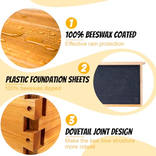 Honey Lake 10 Frame Langstroth Beehive Starter Kit – Wax-Dipped Bee Hive with Viewing Windows, Deep Brood Box, Medium Super, Beehive Frames & Waxed Foundation Sheets - size: 2 Layers