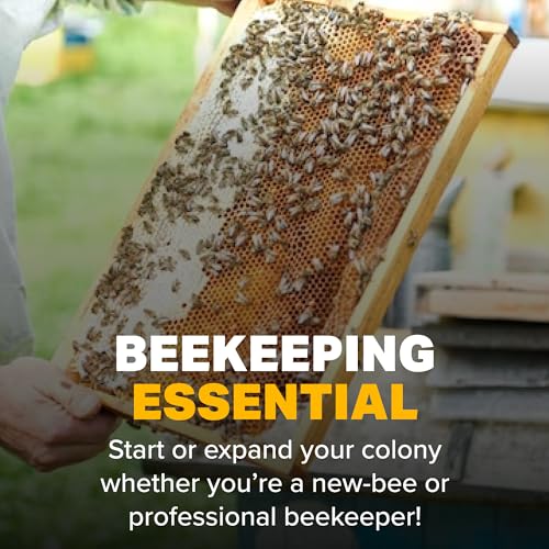 Mann Lake FD200 Bee-Pro Pollen Substitute, High Protein, Boosts Brood, Healthy Colony, Free from Animal by-Products, Rich in Vitamins & Amino Acids, 10 Lb Pail - size: 10-Pound