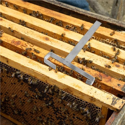 2Pcs Stainless Frame Holder Strong Reusable Perch Stand for Beekeeping Frame Support and Tool Storage