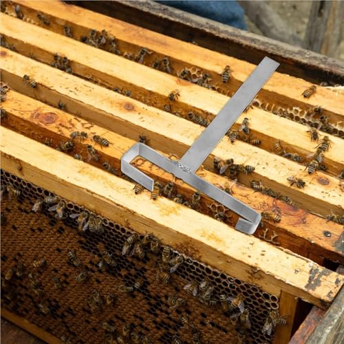 Bee Frame Holder 2Pcs Stainless Steel Beekeeping Perch Stand Multifunctional Tool for Storing Frames and Equipment Beehive Frame Holde