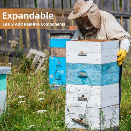 BeeTech 10 Frame Beehive Middle Box Super Bee Box Painted for Sale Bee Hives with Windows - size: Medium Box