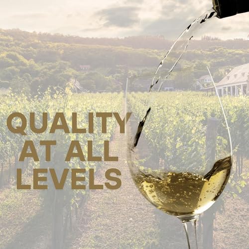 Master Vintner - Beginner Weekday Wine Making Kit - Pinot Grigio - color: Pintor Grigio