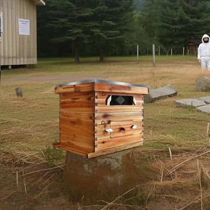 10 Frame Complete Beehive Kit Wax Coated Langstroth Hive for Beginner Includes Deep Medium Box with Acrylic Window Frames & Foundation for Beekeeping