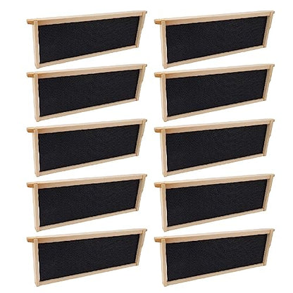 10 Set Beehive Frames with Beeswax Coated Foundation Sheets, Pine Wood Shallow Frames for Beekeeping Supplies