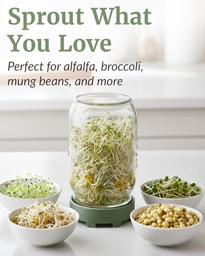 Elementi Sprouting Jar Kit - Set of 2 Wide Mouth Mason Jars with Sprout Lids & Stainless Steel Mesh Screen - Seed Sprouting Kit & Sprout Jars for Growing Broccoli Sprouts, Alfalfa, Mung Bean Sprouter - color: Sage Green Lids & Jars