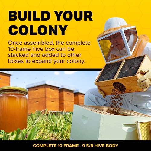 Mann Lake Unassembled Complete Bee Hive Box with Foundation, Langstroth 10 Frame 9 5/8" Hive Body, All Beekeeping Levels, Assembly Required