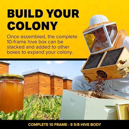 Mann Lake Unassembled Complete Bee Hive Box with Foundation, Langstroth 10 Frame 9 5/8" Hive Body, All Beekeeping Levels, Assembly Required