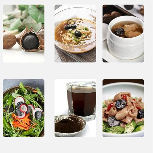 Black Garlic Fermenter (6/7.5L), Layered Design + Stainless Steel Shelf, Fast Fermentation for 7 Days + Scheduled Drying + Memory Shut Off for Yogurt, Na