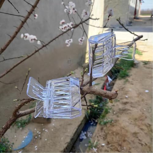 luzen 6Pcs Plastic Queen Bee Cage Catcher Clips Transparent Queen Bee Marking Catcher Clips Bee Cage Marker Beekeeping Tools for Beekeepers, Clear