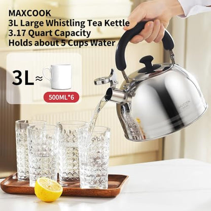 Whistling Tea Kettle, 3.17 Quart/3L Stainless Steel Tea Pot, Stove Top Tea Kettle，Induction Teakettle with Anti-Heat Handle (Mirror Polish) - color: Silver Stripe, size: 3.2 Quarts