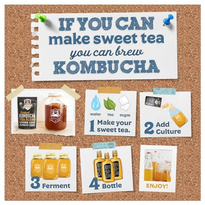 Fermentaholics BIG MOMMA Kombucha SCOBY – 12 fl o z – 6" Pellicle + 12 oz Starter Tea – Organic Kombucha Culture – Makes 1 Gallon