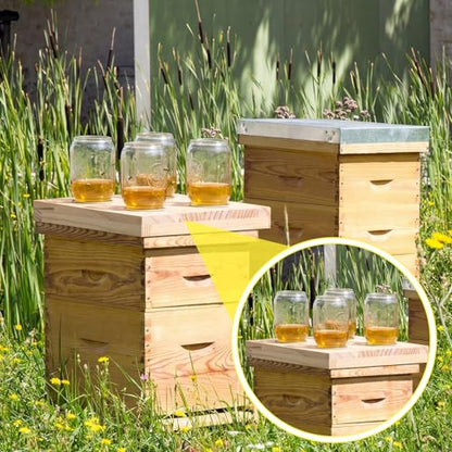 Rtteri 1 Pcs Bee Feeders for Hives with 4 Lids Wooden Honey Mason Jar Beehive Entrance Feeder for Beekeeping Bee Drinking Tools with Lids Drilled Feeding Sugar Syrup or Water (Jars Not Provided) - color: 4 Lids