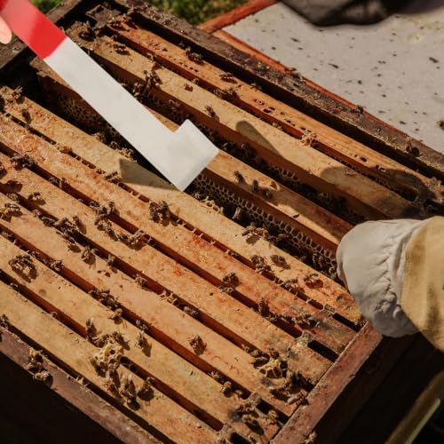 FOMIYES Multi-Purpose Beekeeping Tools Set with Wooden Beehive Brush and Alloy Curved Hook Scraper, Lightweight and Sturdy for Efficient Beekeeping Use