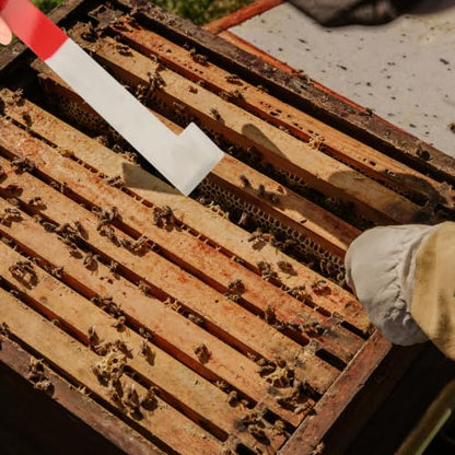 Tool Brush Multi-Purpose Beekeeping Curved Hook with Set Scraper and Beehive Lightweight Wood and Alloy Construction, for Efficient Beekeeping Use