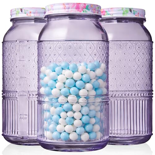 Glass Canisters Set of 3 – 64 oz Mason Jar Style Food Storage Containers with Lids, Jars for Cereal, Pasta, Cookies, Candy, Flour, Sugar, Pet Food, Vintage Claro Collection Kitchen Decor - Lavender - color: Lavender