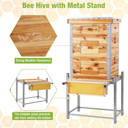 GUTINNEEN Bee Hive with Metal Frame, 10 Frame Bee Hives Boxes Dipped in 100% Beeswax,Bee Keeping Supplies-All Starter Kit Includes Wooden Frames & Waxed Foundations