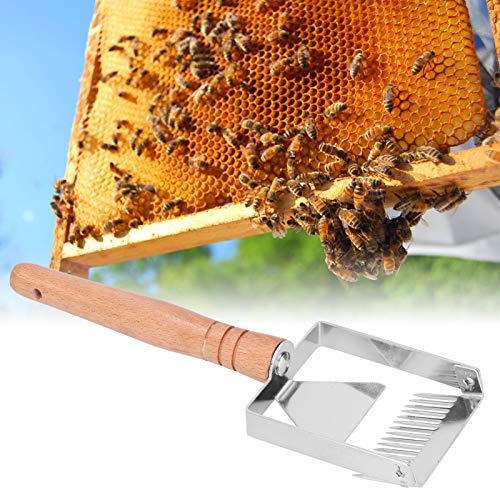 Scraper Stainless Steel, Honey Fork Scraper Shovel Stainless Steel Bee Hive Nest Uncapping Beekeeping Tool