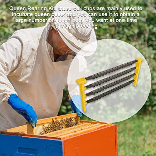 Beekeeping Queen Bee Rearing Frame 60 Cell, Apiculture Queen Cell Cups Holder, Beekeeper Hive Bee Rearing Cell Bar