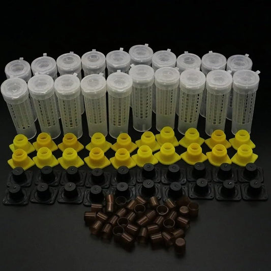 Bee Rearing Kit Beekeeping King Queen Bee Rearing System Box Plastic Cup Cell Protection Cover Cage Apiculture Kit Bees Tools Supplies for Beginners and Bee Keeper(Type A-2set) - color: Type A-2set