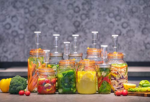 JILLMO Wide Mouth Glass Fermentation Jar with Airlock & Glass Weight, 1.5L Fermenting Jar for Sauerkraut, Kimchi, Pickles & More,Pack of 2 - size: 1.5 Liter