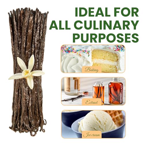 50 Count Organic Madagascar Vanilla Beans – Grade A Bourbon Pods | Gourmet Whole Vanilla Beans for Baking, Cooking, Extract Making | Rich Aroma, Premium Flavor, Non-GMO, Vegan - size: 50 Count (Pack of 1)