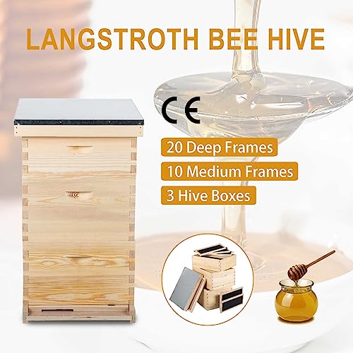CREWORKS Bee Hive Boxes 10 Frame Langstroth Beehive, 2 Layers Complete Bee Hive Kit, 1 Super Bee Box & 1 Bee Brood Box with Beehive Frames 10 Frame Queen Excluders, and Foundation