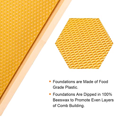 Medium Super Beehive Frames with Wax Foundations, 10 Pack Honey Bee Frames with 100% Beeswax Coated Food Grade Foundation Sheets, 6-1/4-Inch (Yellow) - color: Yellow Foundatiom, size: 10 Count (Pack of 1)
