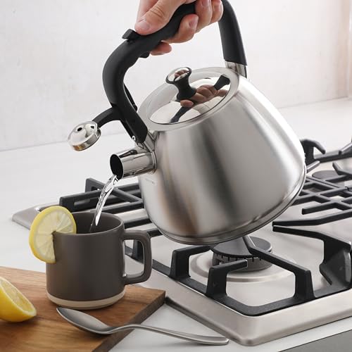 Mr. Coffee Armidale 2.5QT Whistling Tea Kettle, Large Brushed Stainless Steel Kettle for Stovetop, Durable Fast-Boil Tea Pot - color: Brushed Satin (Armidale), size: 2.6 Quarts