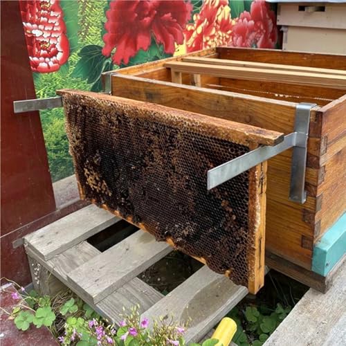 2Pcs Beehive Frame Holder Silver Beekeeping Supplies Tool for Beekeeper Home Perch Stand Support Tools for Bee Box(Bee Hive Frames) - color: Bee Hive Frames