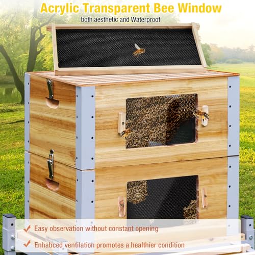 Aivituvin Bee Hive Bee Box 10 Frame Upgrade with All -Around Metal Frame Bee Castle Coated with 100% Beeswax Includes Waxed Foundations,2 Deep Boxes & 1 Medium Box