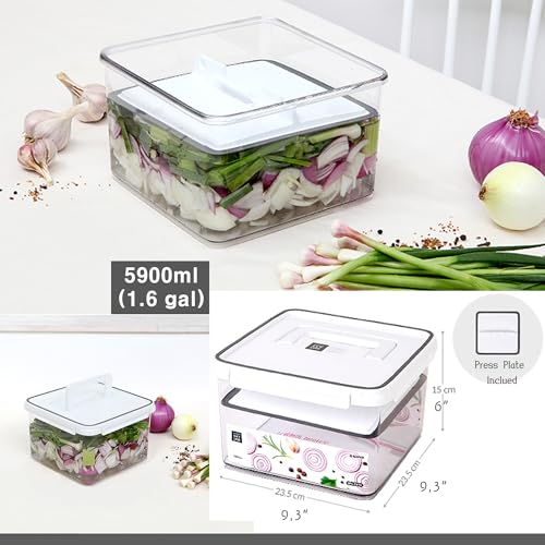 Pickle keeper Press Plate Food Storage Container Organizer for Kimchi Sauerkraut Fermentaion Airtight Lid Locking for Preserved Food (5900ml / 1.6 gal) - size: 5900ml / 1.6 gal