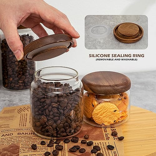 1 PC Small Glass Storage Jars with Airtight Lids, 10 fl oz (300ml) coffee container with Wooden Lid, Glass Pantry Canister for Beans, Rice, Sugar and etc - color: clear-（1PC，10FL OZ/300ML）