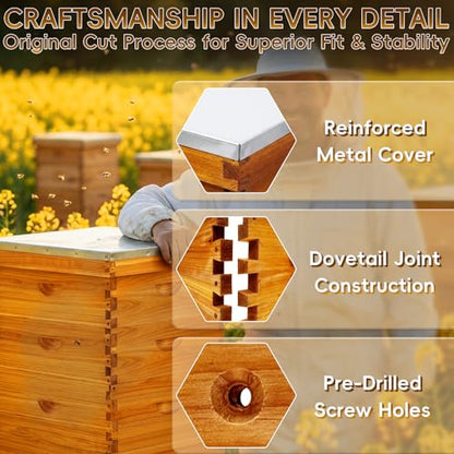 10-Frame Langstroth Beehive Beeswax Coated, 3 Layer Complete Bee Hive Kit Include Bee Frames and Waxed Foundation Sheets for Beekeeping (2 Deep Boxes & 1 Medium Box)