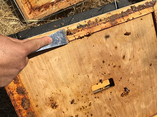 Harvest Lane Honey WWIC-101 Inner Beehive Cover