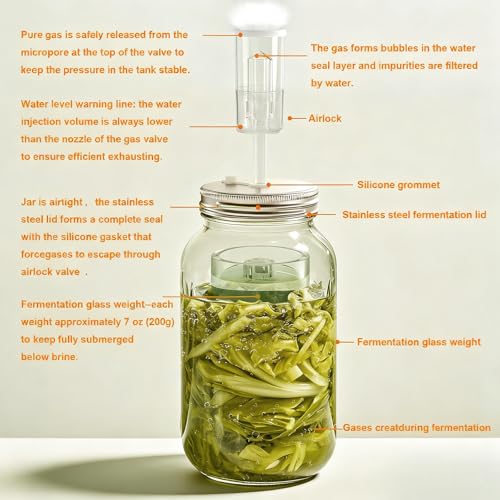 Fermentation Kit for Wide Mouth Mason Jars 8- Complete Pickling & Sauerkraut Set with Glass Weight, Stainless Steel Lid, Air Lock Valve, Silicone Seals (Jar Not Included)