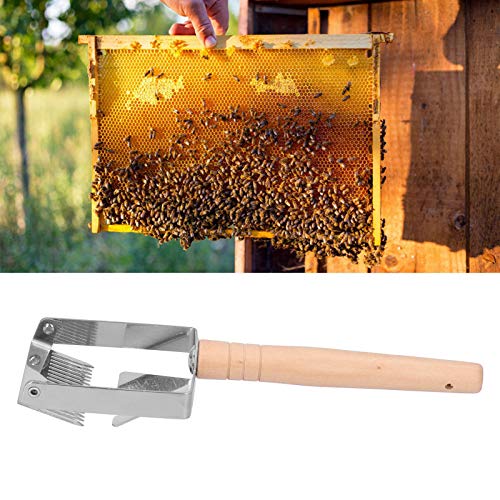 Zopsc Uncapping Fork Honey Scraper, Thicken Wooden Handle Beekeeping Tool, Apiculture Equipment for Honey Harvesting, Stainless Steel Uncapping Scraper, Beekeeping Fork Set