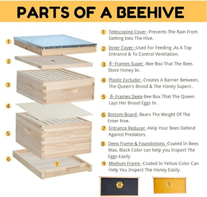POLLIBEE 8 Frame Beehive kit, Complete Bee Hive for Beekeeper, Langstroth Bee Hives Include 1 Deep and 1 Medium Bee Box with Bee Frames and Foundation(Unassembled)