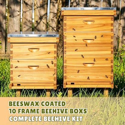 10-Frame Bee Hive Complete Beehive Kit Beeswax Coated Beehive Include Frames and Foundation Sheets for All Beekeeping Levels (1 Deep & 1 Medium Bee Boxes)