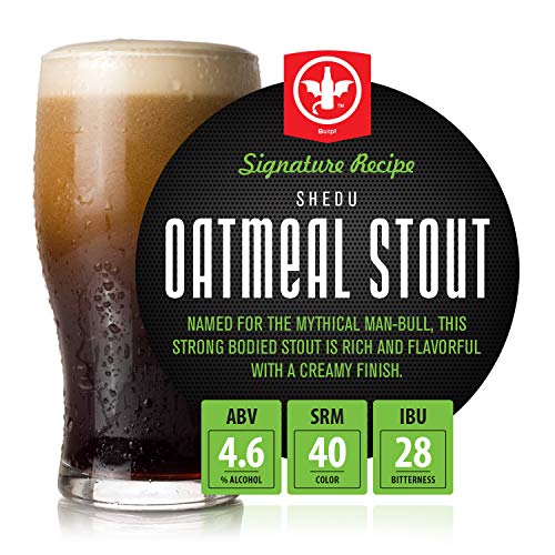 Premium Beer Kit Bonus with Bottles - Conical Fermenter Eliminates Sediment and Makes Great Tasting Home Made Beer - 1 Gal. Pilsner, Stout, and IPA Recipes