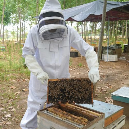20Pcs Beehive Foundation Sheet Beehive Beeswax Coated Foundation Sheet Bee Hive Wax Foundation 9" Deep Foundation Sheet for Beehive Deep Frame - size: Deep