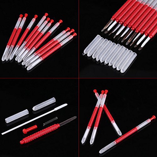 Beekeeping Grafting Tool, Queen Rearing for Precise Larva Transfer with Flexible Reed, Spring Plunger, 10 Piece Set for Royal Jelly Production, Apiary Queen Breeding