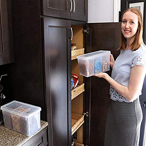 2 Pack Plastic Divided Veggie Storage Containers with Lids and Handles for Fridge Storage Organizer Boxes for Refrigerator Produce Beans Fruits Organzation - style: 2Pack with 6 dividers