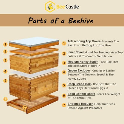 BeeCastle 8 Frame Langstroth Beehive, Beeswaxed Coated Starter Kit with Beehive Frames and Waxed Foundations (1 Deep Box & 1 Medium Super) - size: 1 Super &1 Deep Box
